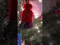 Sweden Christmas tree at German American market 🎄 Шведская новогодняя ёлка на немецком рынке в 🇺🇸