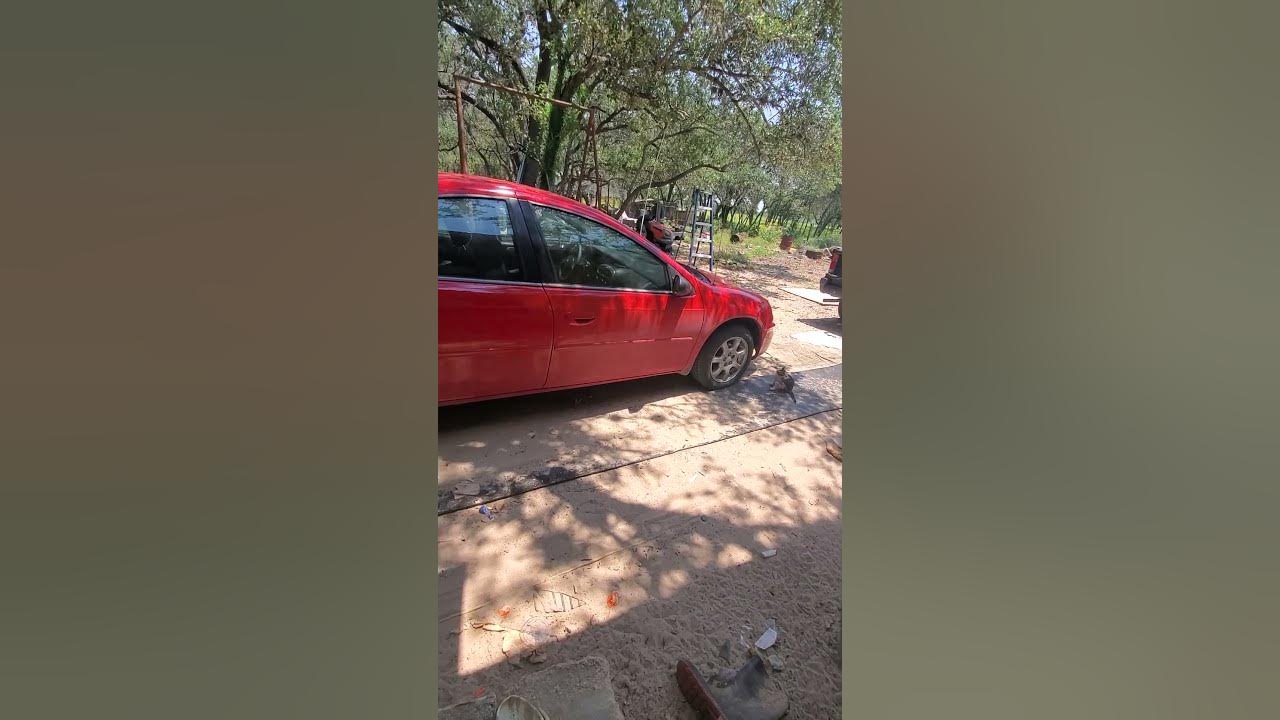 New dodge neon 2024 YouTube
