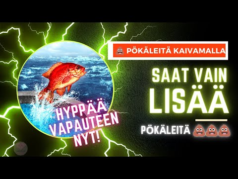 Video: Mikä on uudelleenavaimen sertifikaatti?