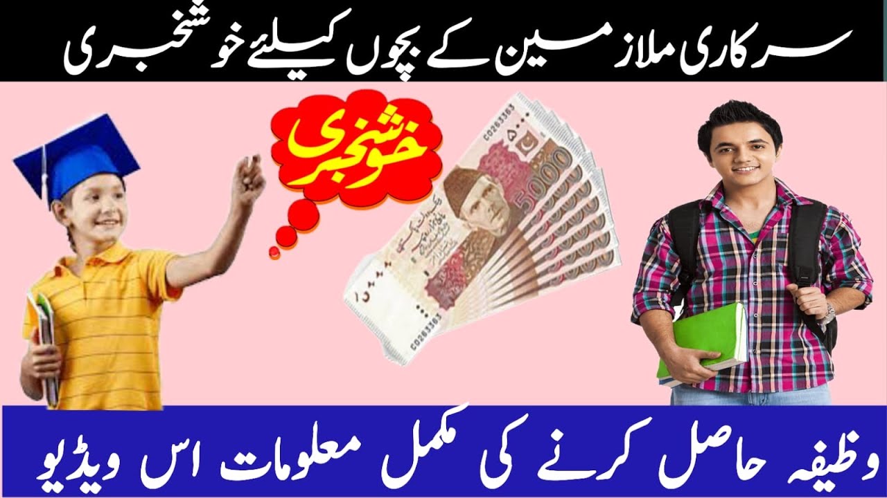 Punjab Taleemi Wazifa 2025-26 | Online Registration & Form Filling Urdu