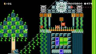 Super Mario Maker - Dkdarkness Falls On The Jungle World Record