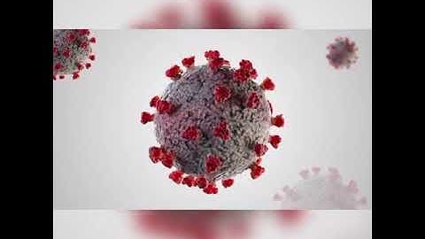 ZKTeco Thermometry Disinfectant Tunnel