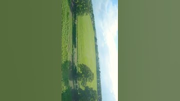 Failsafe 🤦‍♂️🤦‍♂️🤦‍♂️#fpv #tbs #gopro #shorts #fpvfreestyle #drone #dronelife #ethix