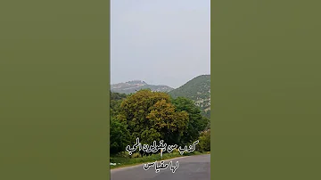 أحبه محبه من زمان الصبا وأقدم 