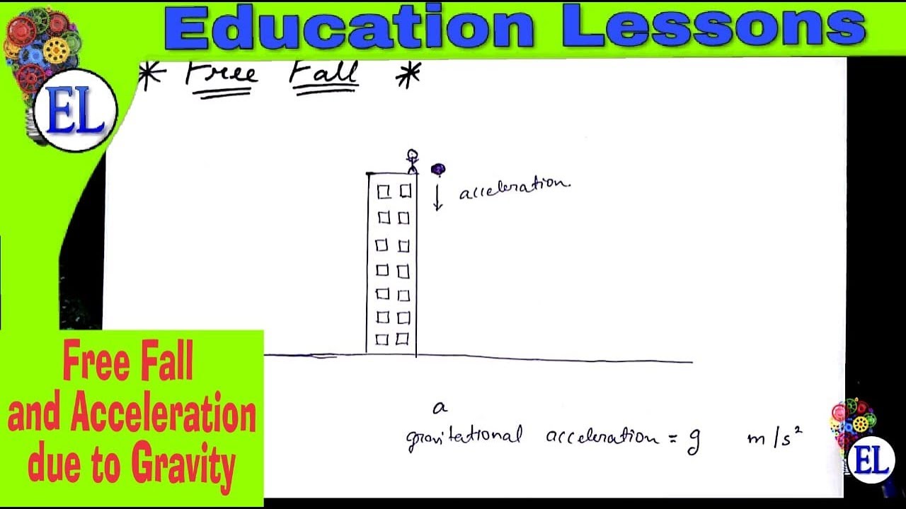 freefall and acceleration due to gravity lab