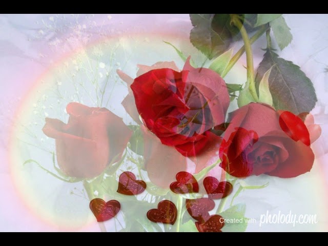 Love of my life Chords - Chordify