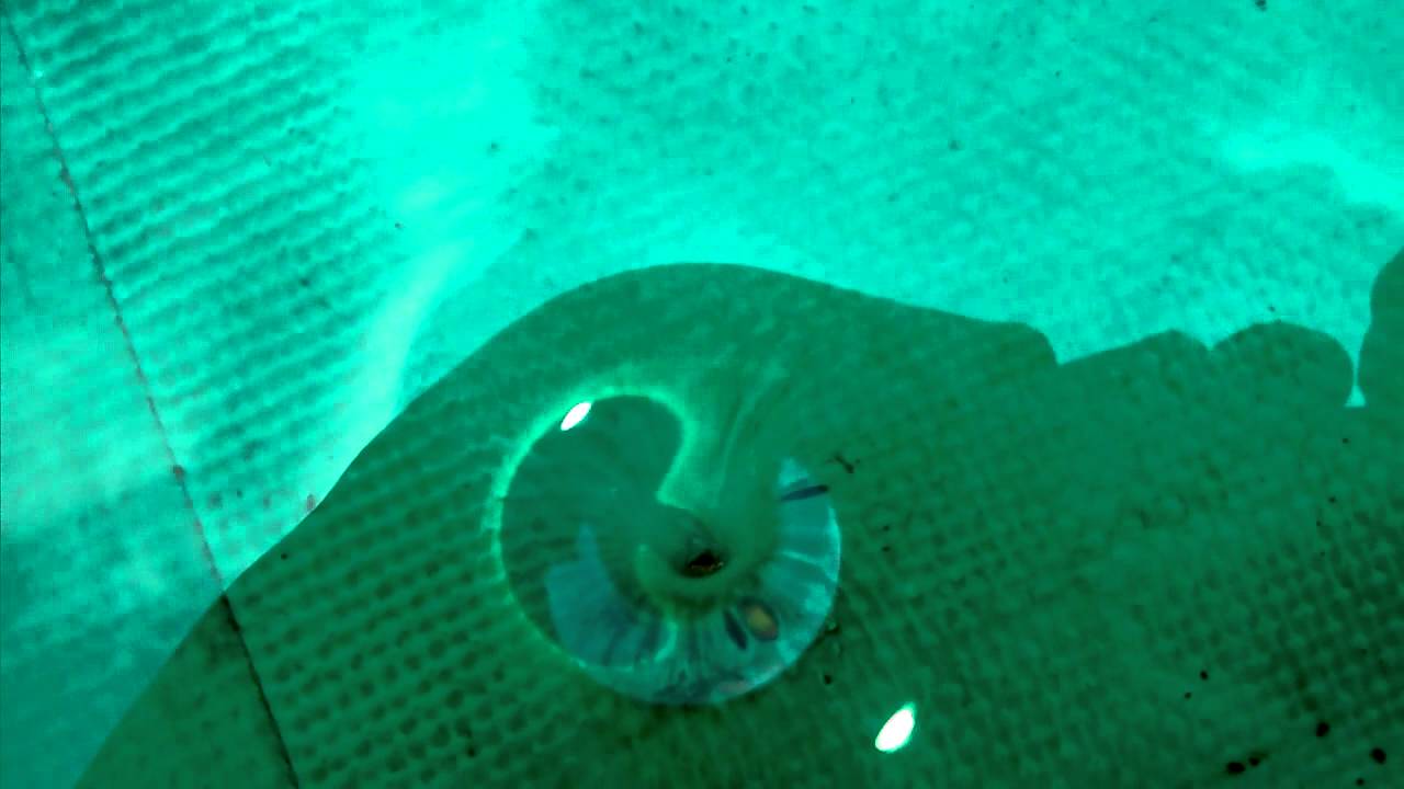 Creacion de un remolino en el agua. YouTube Creacion de un remolino en el agua. YouTube