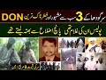 Top 3 dons of sargodha city  most wanted gangsters of punjab  chiragh bali  akhtar gadhra  sp