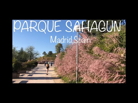 PARQUE SAHAGUN |