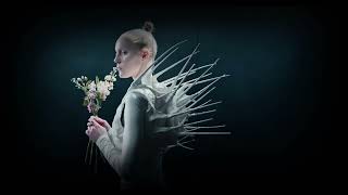 Chapter One - Alpha Macaco