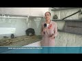 «Мы достигли цели»: в Музейном квартале открыли новые залы