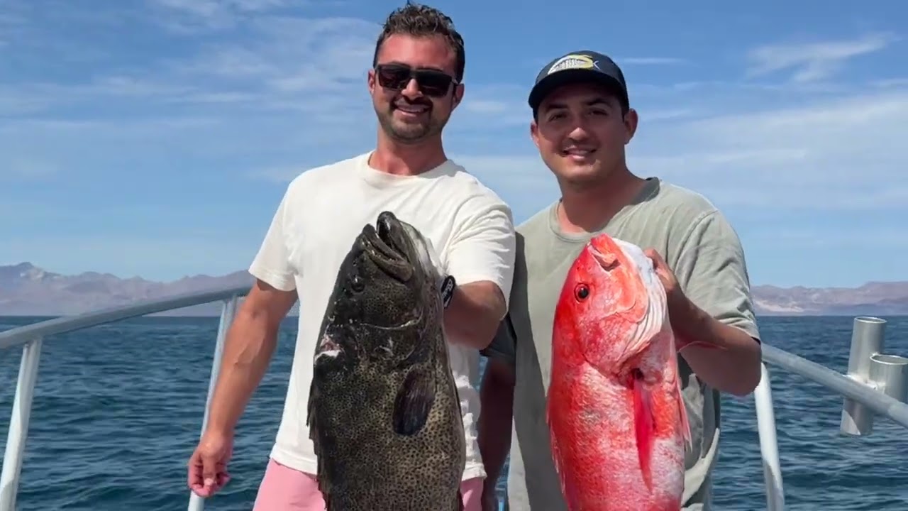 Spearfishing Bay Of LA (Bahía de Los Angeles)