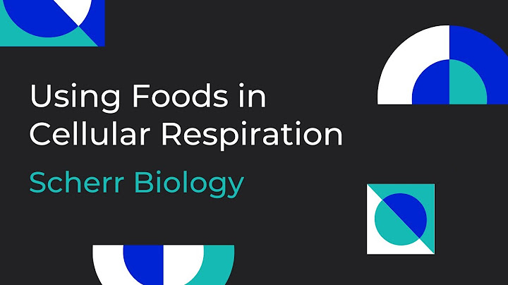 Which of the following statements comparing respiration in fish and in