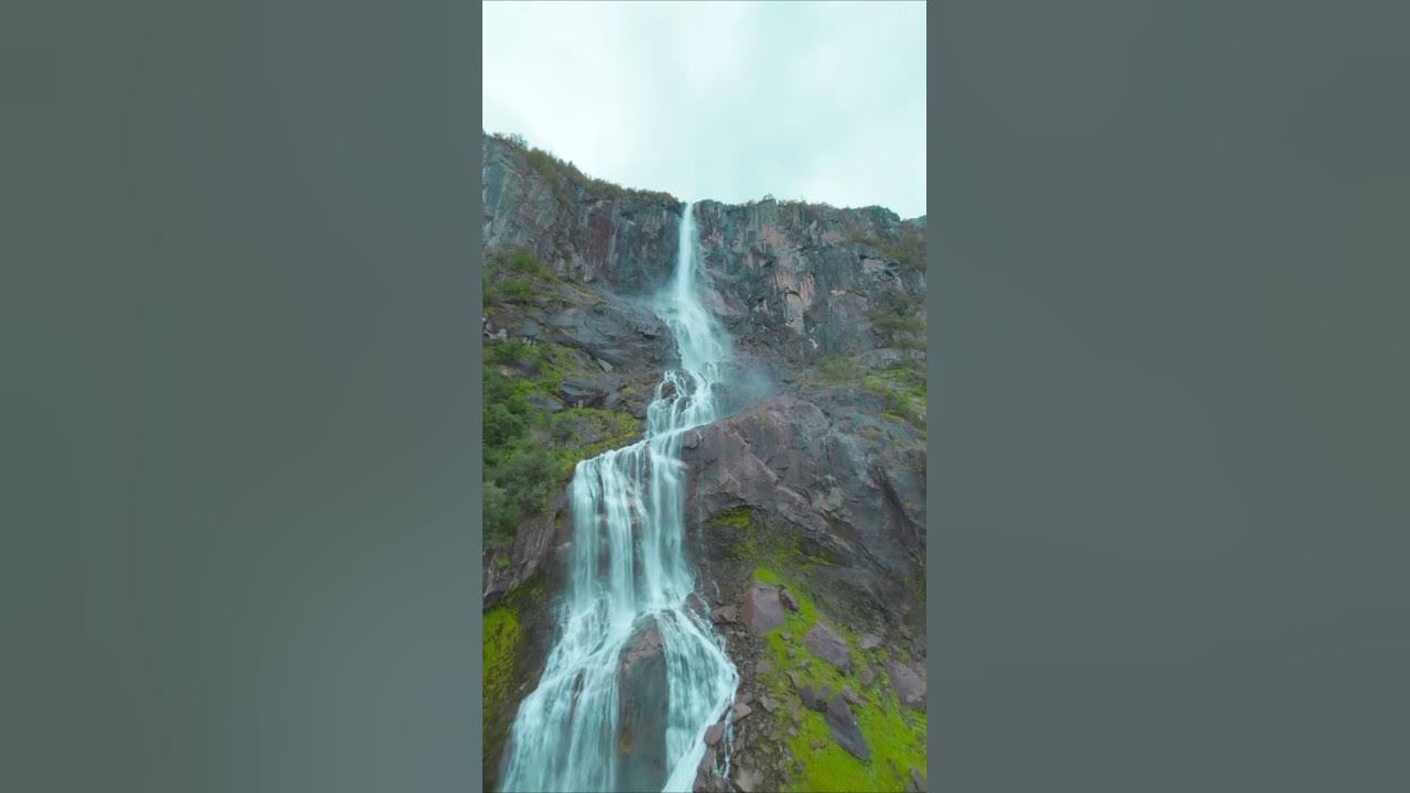 Dil E Nadaan | Nature Song #nature #song Dil E Nadaan | Nature Song #nature #song