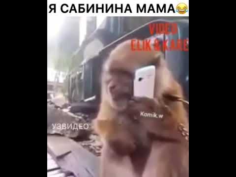 Сабинина мама кроссовок потерял