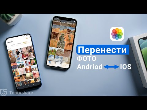 Как перенести фото с Android на IPhone?[2 способа]