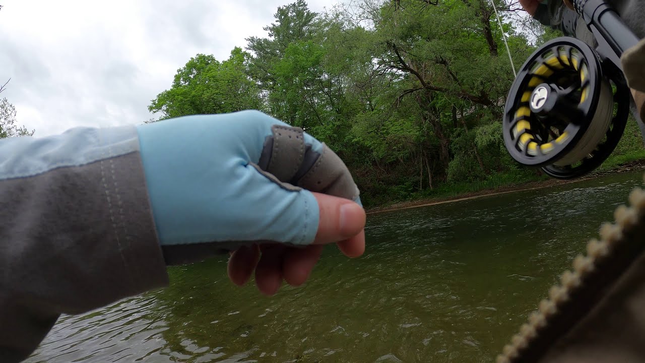 Brophy Euro Nymphing the Battenkill with tan Caddis Pupa 5/28/2020