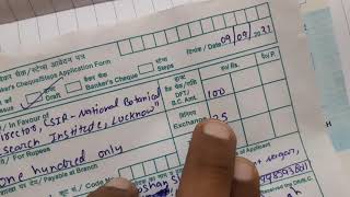 Dd Kaisa Banti Ha How To Make Demand Draft Fill Demand Draft