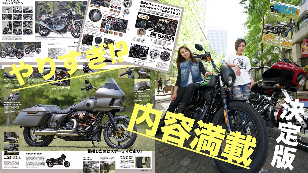 ハーレー女子はじめました フォーティーエイト買って すぐにカスタム タンク サスペンション シート マフラーごっそり交換 みんなと違う1台が欲しかったんですもの Youtube