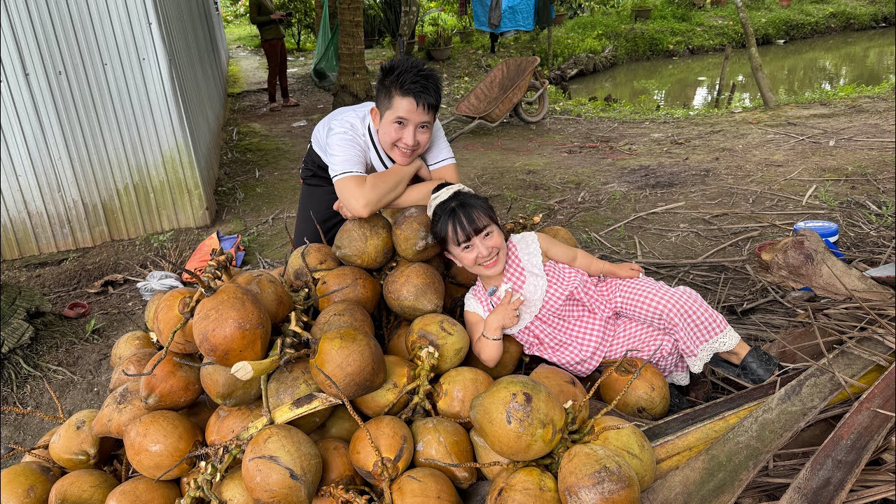 Thức Trắng Đêm Vì Đam Mê Mới Và Thu Hoạch Dừa Siêu khủng. || Ut Mini. 