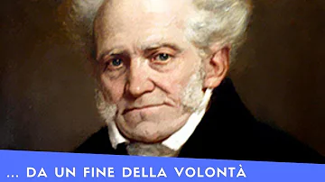 Cosa intende Schopenhauer per principio di ragion sufficiente?