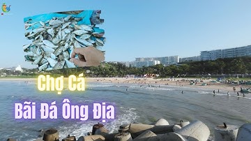 Nhộn nhịp chợ cá Bãi Đá ông địa buổi sáng-  ❤️  Phan Thiết Phố  🏝