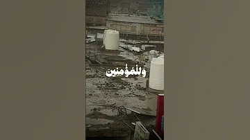 تلاوة هادئة ورائعة جدا للقارئ علي جابر علي جابر Quran 