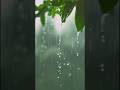 “Peaceful Rainy Day in Mizoram 🌧️ ☔#rainyday #mizoram #rainvibes #naturelovers