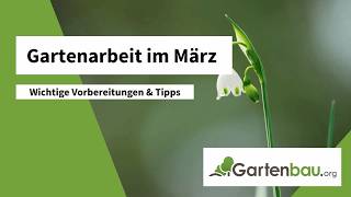 Gartenarbeit Im März Rasenpflege, Rosenschnitt & Beete Vorbereiten