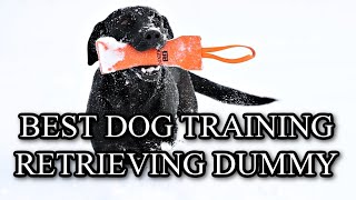 How We Made the Best Dog Training Dummy
