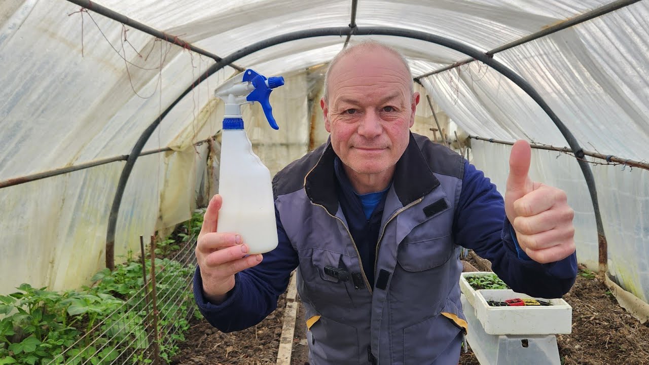 28 février  au jardin : quoi planter  et semer ?