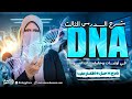 شرح DNA في اوليات وحقيقيات النواة الدرس الثالث فى DNA البيولوجيا الجزيئية احياء تالته ثانوي 