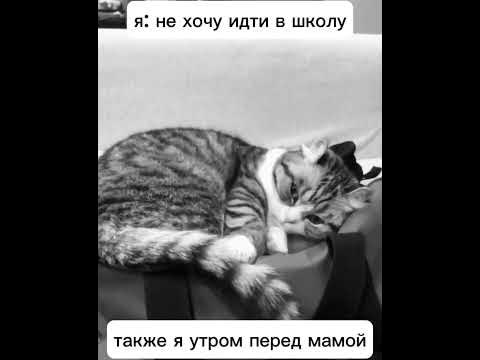 Комару - YouTube