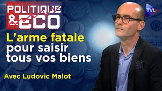 Dépossession planétaire : urgence d'une monnaie Or et Argent  Poleco N°435 avec Ludovic Malot