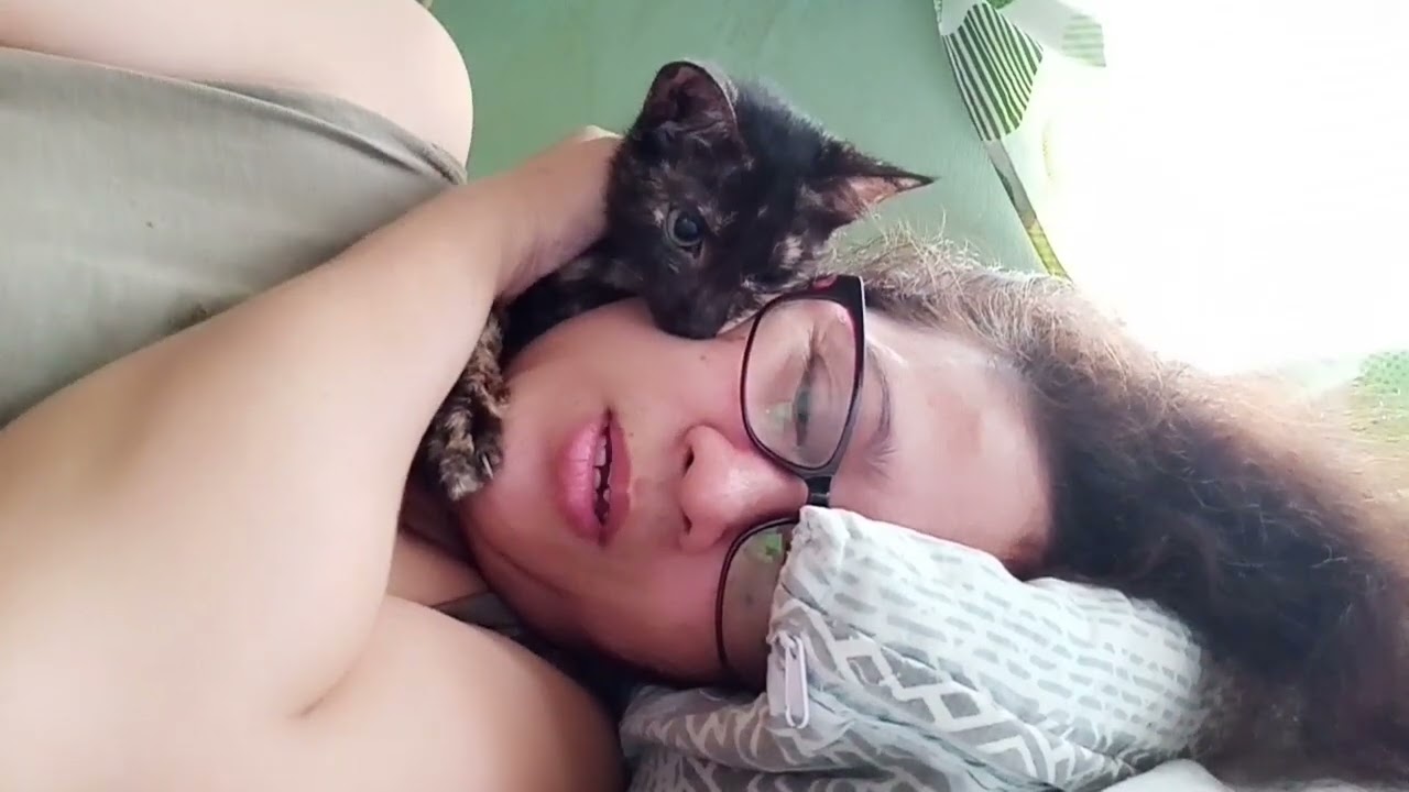 Meowmy love Batik (B3)