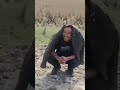 Accident #viral #travel #accident #car #shorts #shortvideo #shortsviral #shortsviral #short