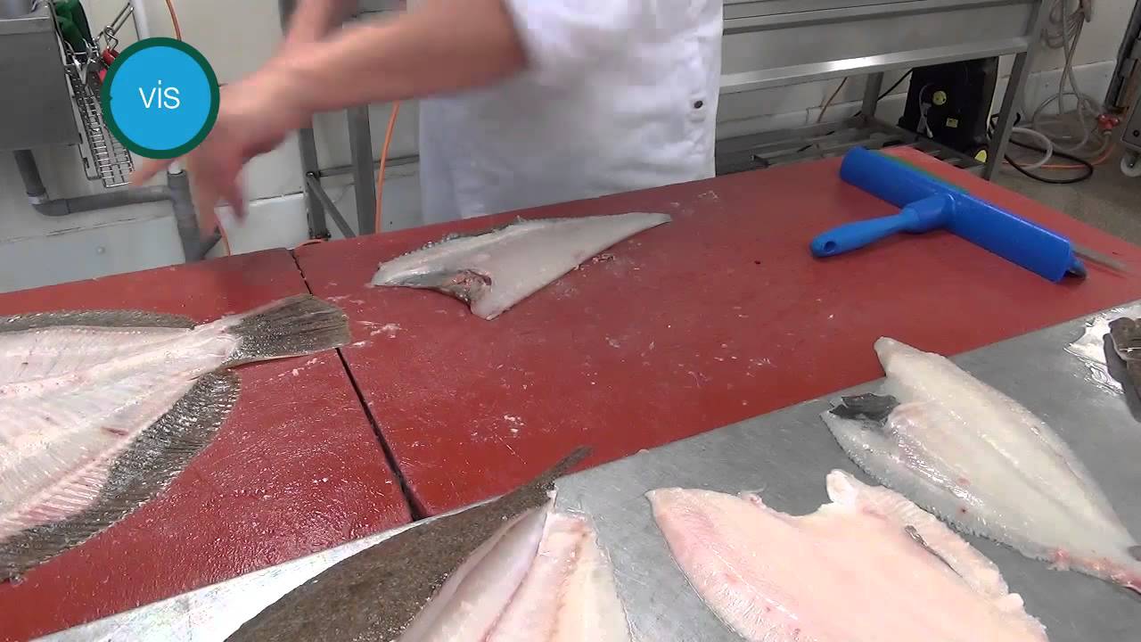 Platvis is nu op zijn best!