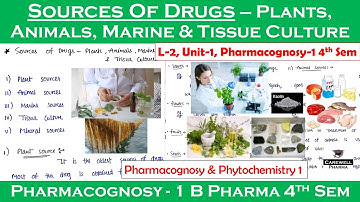 Sources of Drugs - Plants, Animals, Marines & Tissue culture | L-2, U-1 | pharmacognosy 4th semester