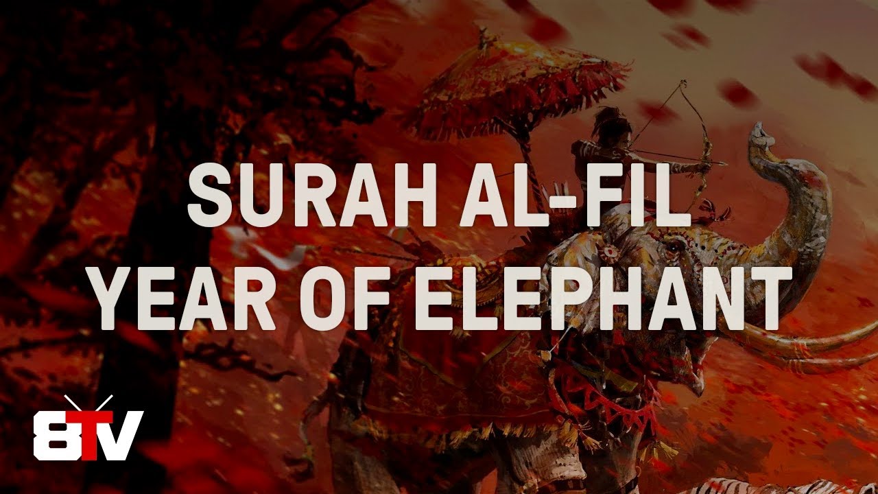 What is the Year of the Elephant mean? » Iqra Online