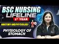 Physiology Of Stomach BSc Nursing 1st Year | Lifeline Batch | #bscnursing1styear