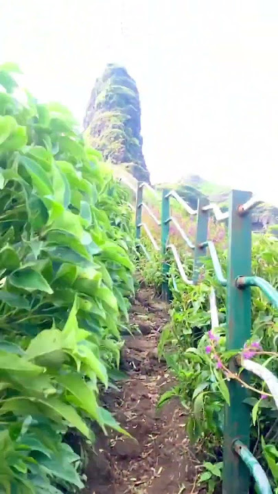 043c0933b49e4b648ba95ec6d6e351a9