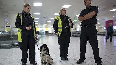 UK Border Force Season 1 Episode 3