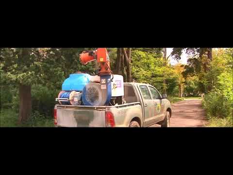 ფოთში აზიურ ფაროსანას  ცივი შესხურებით ებრძვიან