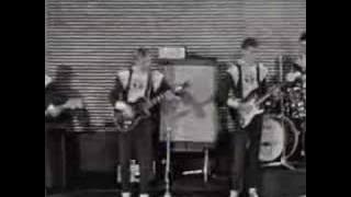 The Spotnicks Spanish Gypsy Dance(live 1963)