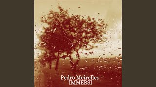 Van Gogh - Pedro Meirelles