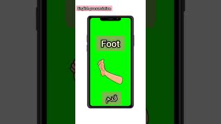 shorts  English Pronunciation    Foot U0026 Feet