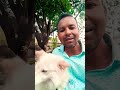 Youtube discription banao#dog#feedshorts # dekha #haimainebaarjo