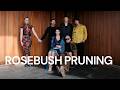 Rosebush Pruning (2026) Official Trailer HD