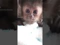 awww so cute😊 sub plz
