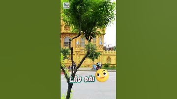 Shiper Shopee giao máy ẩu làm cong vẹo Fan CPU, Vi Tính Gia Phát xử lý ra sao?